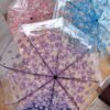 Transperant Umbrella
