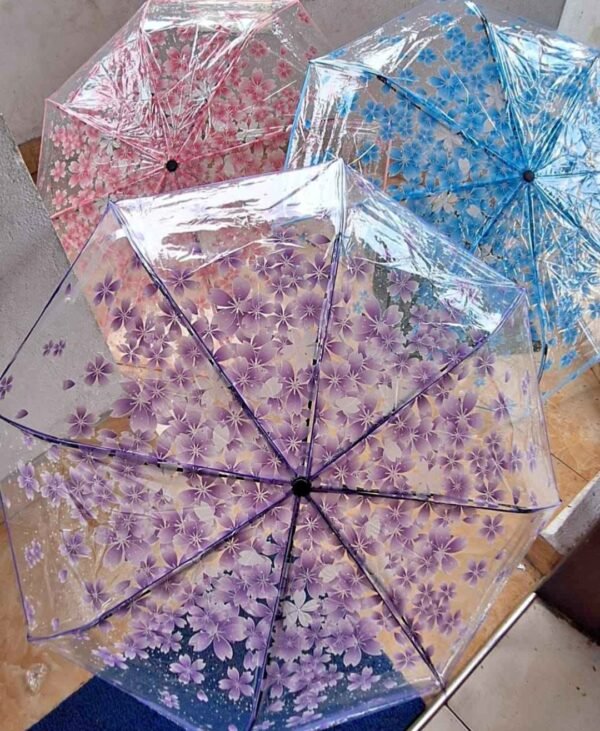Transperant Umbrella