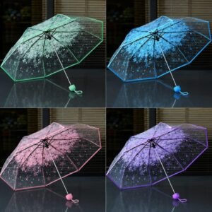 Transperant Umbrella