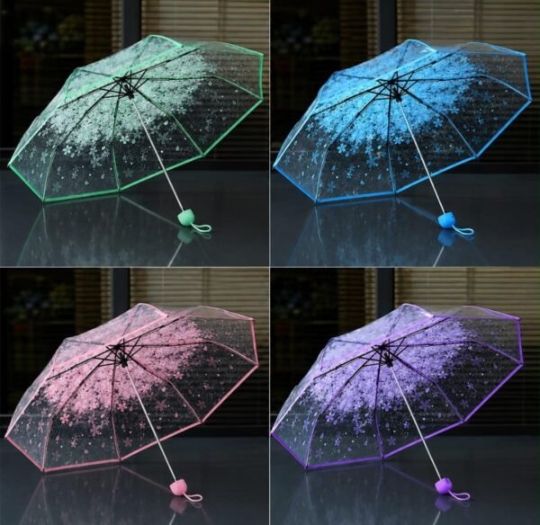 Transperant Umbrella