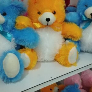 IMG_20260723_201734_654 1 Feet Teddy