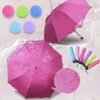 IMG_20260723_203015_776 Magic Umbrella