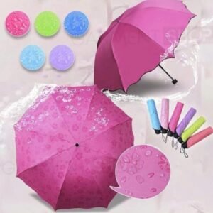 Magic Umbrella