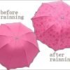 IMG_20260723_203029_986 Magic Umbrella