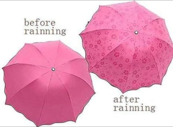 IMG_20260723_203029_986 Magic Umbrella
