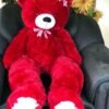 3.5 Feet Teddy