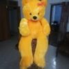 3.5 Feet Teddy