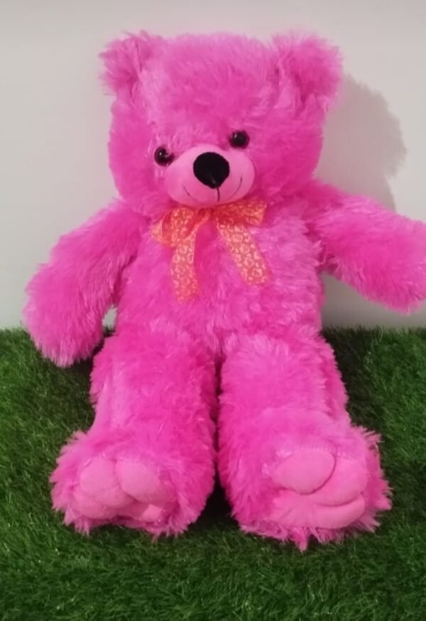 2 Feet Teddy
