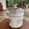 500g Ricecooker