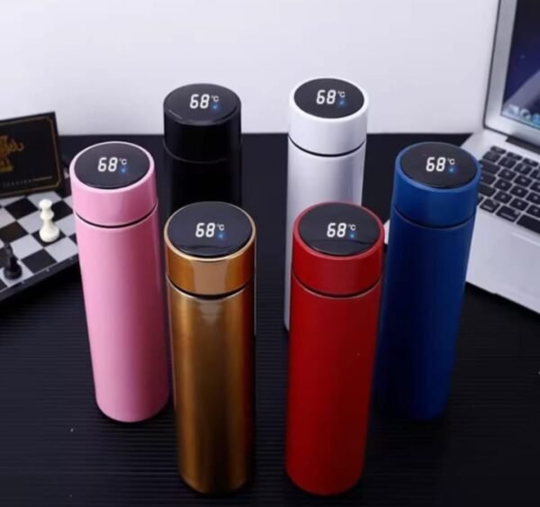 Temperature Bottle