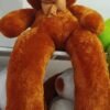 5.5 Feet Teddy
