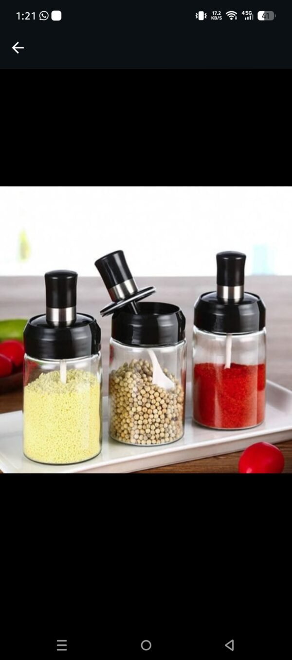 3 Pcs Spice Bottles