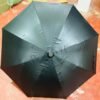 Long Umbrella