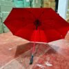 Long Umbrella