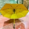 Long Umbrella