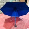Long Umbrella